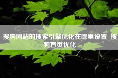 搜狗网站的搜索引擎优化在哪里设置_搜狗首页优化