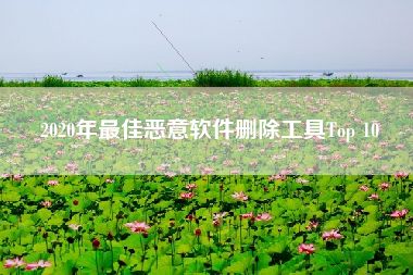 2020年最佳恶意软件删除工具Top 10