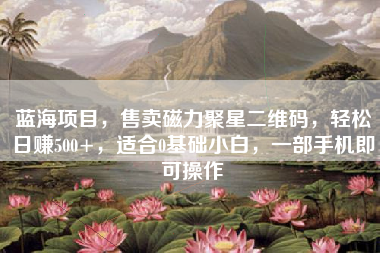 蓝海项目，售卖磁力聚星二维码，轻松日赚500+，适合0基础小白，一部手机即可操作
