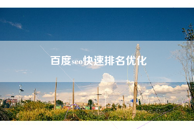 百度seo快速排名优化