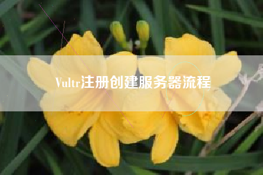 Vultr注册创建服务器流程