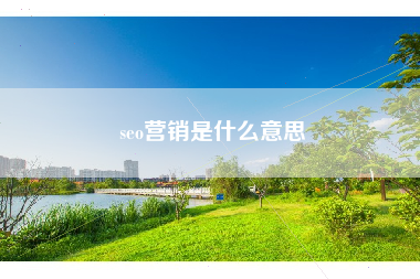 seo营销是什么意思