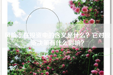 风险率在投资中的含义是什么？它对投资决策有什么影响？
