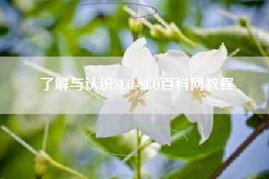 了解与认识SEO-SEO百科网教程