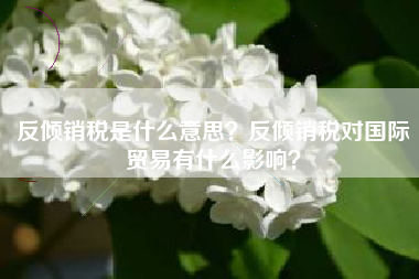 反倾销税是什么意思？反倾销税对国际贸易有什么影响？