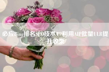 必应Bing排名SEO技术：利用AIP批量ULR提升收录