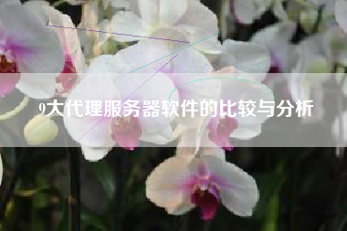 9大代理服务器软件的比较与分析