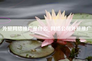 外贸网络推广是什么_网络公司外贸推广