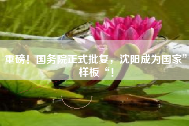 重磅！国务院正式批复，沈阳成为国家”样板“！
