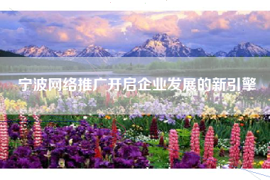 宁波网络推广开启企业发展的新引擎