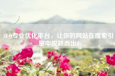 SEO专业优化平台，让你的网站在搜索引擎中脱颖而出！