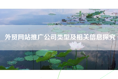 外贸网站推广公司类型及相关信息探究