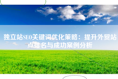 独立站SEO关键词优化策略：提升外贸站点排名与成功案例分析