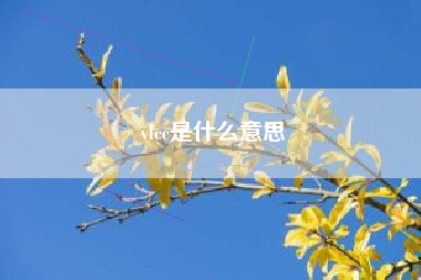 vlcc是什么意思