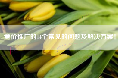 竞价推广的14个常见的问题及解决方案！