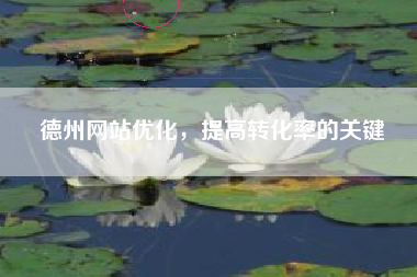 德州网站优化，提高转化率的关键