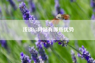 浅谈h5网站有哪些优势