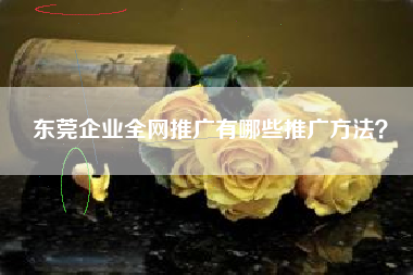 东莞企业全网推广有哪些推广方法？