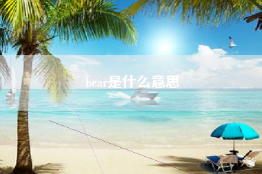 bear是什么意思