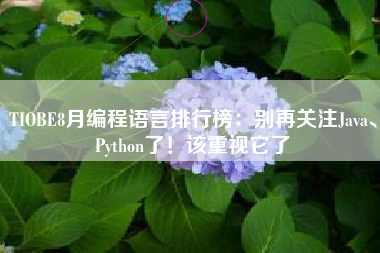 TIOBE8月编程语言排行榜：别再关注Java、Python了！该重视它了
