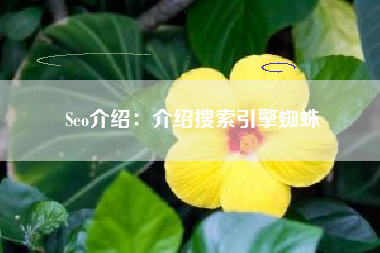 Seo介绍：介绍搜索引擎蜘蛛