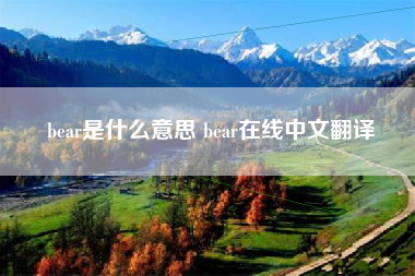 bear是什么意思 bear在线中文翻译