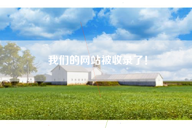 我们的网站被收录了！