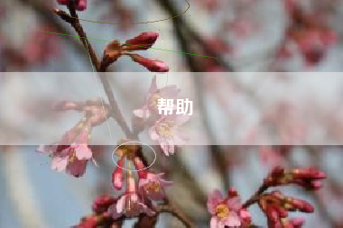 帮助