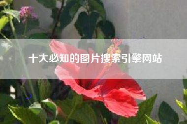 十大必知的图片搜索引擎网站