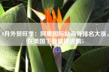 9月外贸旺季：阿里国际站海外排名大涨，在美国下载量挤进前5