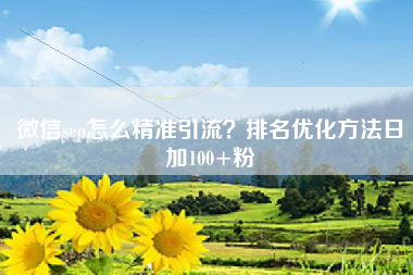 微信seo怎么精准引流？排名优化方法日加100+粉