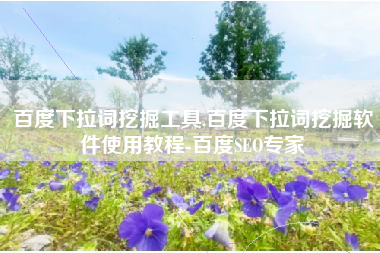 百度下拉词挖掘工具,百度下拉词挖掘软件使用教程-百度SEO专家