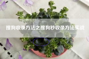 搜狗收录方法之搜狗秒收录方法实战