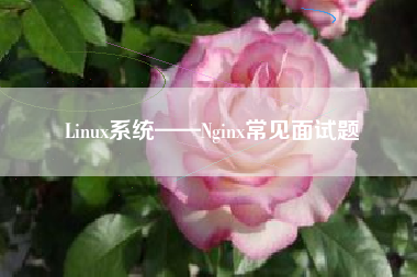 Linux系统——Nginx常见面试题