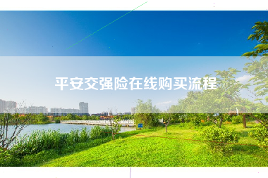 平安交强险在线购买流程