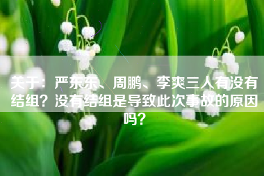 关于：严东东、周鹏、李爽三人有没有结组？没有结组是导致此次事故的原因吗？