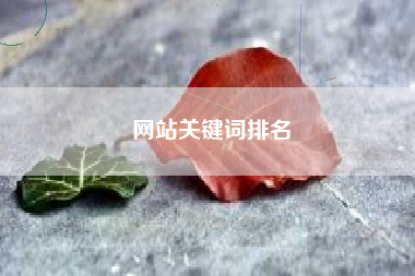 网站关键词排名