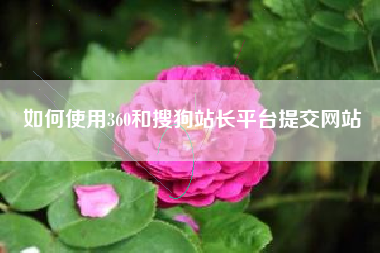 如何使用360和搜狗站长平台提交网站
