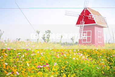在线子域名查询方法