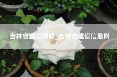 吉林省建设网站_吉林省建设信息网