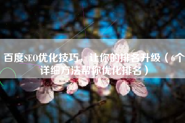 百度SEO优化技巧，让你的排名升级（6个详细方法帮你优化排名）