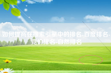 如何提高在搜索引擎中的排名-百度排名-竞价排名-自然排名