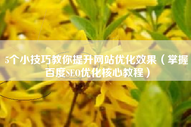 5个小技巧教你提升网站优化效果（掌握百度SEO优化核心教程）