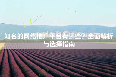 知名的网络推广平台有哪些？全面解析与选择指南