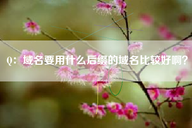 Q：域名要用什么后缀的域名比较好啊？