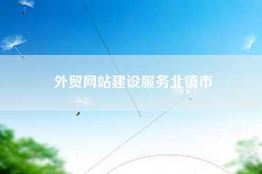 外贸网站建设服务北镇市