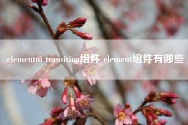 elementui transition组件 element组件有哪些