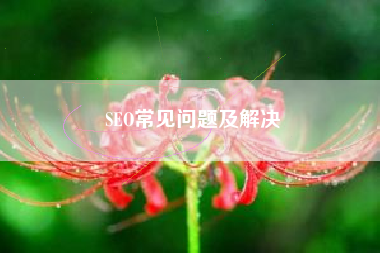 SEO常见问题及解决