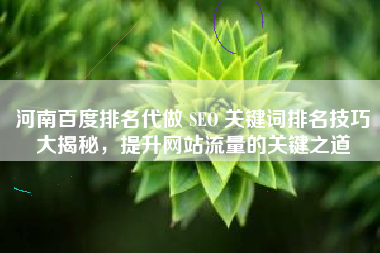 河南百度排名代做 SEO 关键词排名技巧大揭秘，提升网站流量的关键之道