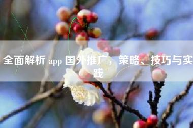 全面解析 app 国外推广，策略、技巧与实践